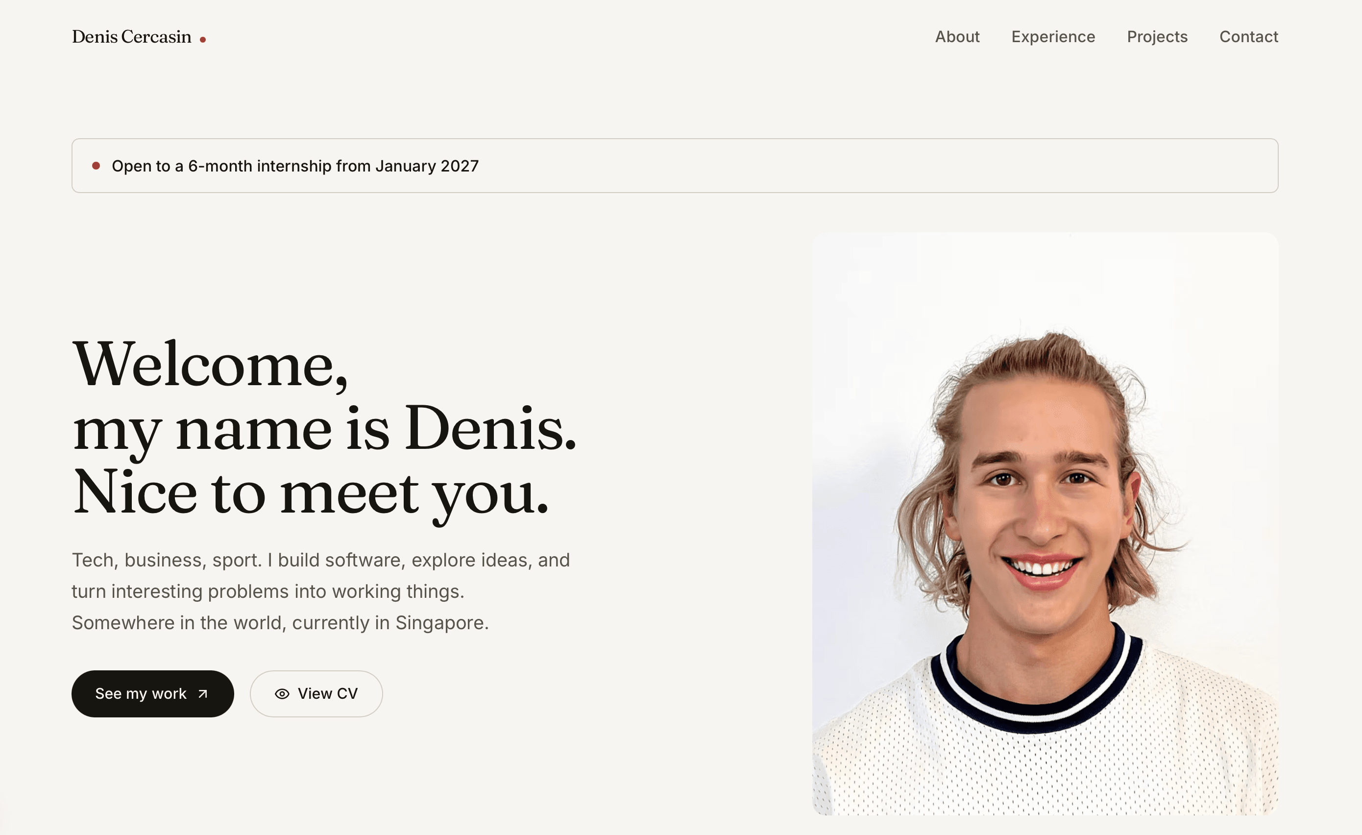 Personal Portfolio cover — a specimen-style arrangement of editorial type.
